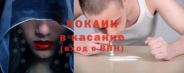 шишки Баксан