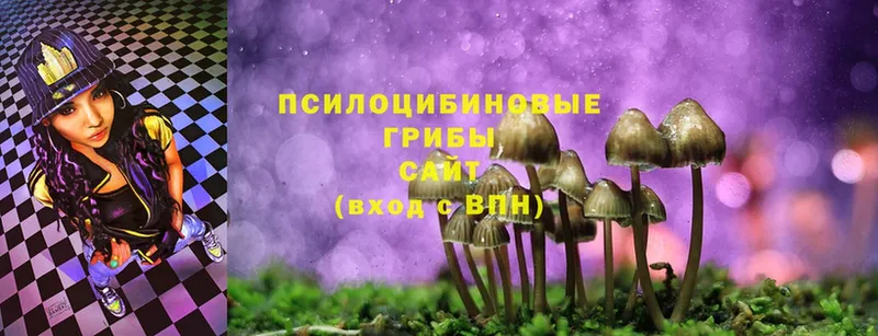 ссылка на мегу как войти  купить закладку  Бикин  Псилоцибиновые грибы Magic Shrooms 